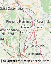 Strada Provinciale del Pascolare, 209,00018Palombara Sabina