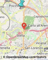 Palestre e Centri Fitness,80145Napoli