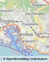 Via Giovanni Carbone, 14/4,16135Genova