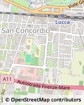 Via della Formica, 665,55100Lucca