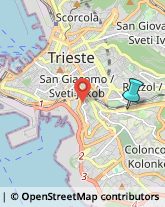 Scuole Pubbliche,34137Trieste