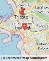 Piazza Carlo Goldoni, 11,34122Trieste