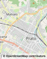 Via Giuseppe Paolini, 21/E,59100Prato