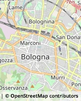 Via Cesare Gnudi, 80,40127Bologna