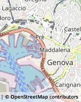 Molo Ponte Francesco Morosini, 54,16126Genova