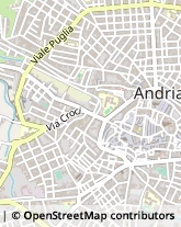 Via Marco Polo, 84,70031Andria