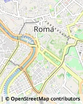 Via della Luce, 3/A,00154Roma