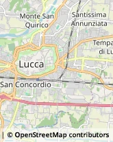 Via della Polveriera, 9,55100Lucca