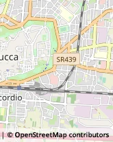 Ristoranti,55100Lucca