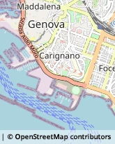 Via Corsica, 21/16,16128Genova