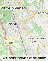 Campeggi, Villaggi Turistici e Ostelli,31029Treviso