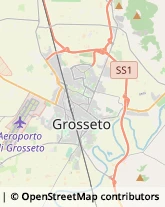 Falegnami,58100Grosseto