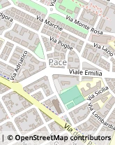 Viale Emilia, 74,58100Grosseto