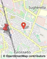 Via Parini, 12,58100Grosseto