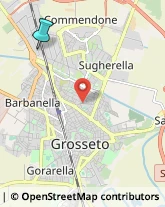 Veterinaria - Ambulatori e Laboratori,58100Grosseto