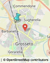 Agenti e Rappresentanti di Commercio,58100Grosseto