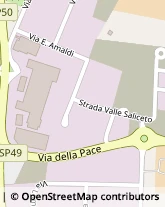 Autofficine e Centri Assistenza,46029Mantova