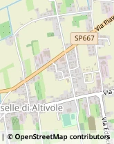 Via Piave, 25,31030Altivole