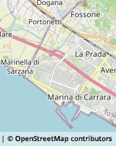 Agenzie di Animazione e Spettacolo,54033Massa-Carrara