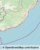 Psicoanalisi - Studi e Centri,18018Imperia