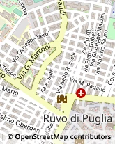 Via Giuseppe Garibaldi, 9,70037Ruvo di Puglia