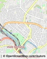 Via Val di Non, 30,00141Roma