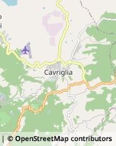 Via del Giunco, 34,52022Cavriglia