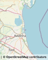 Porti e Servizi Portuali,48015Ravenna