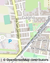 Via Guardistallo, 3,56123Pisa