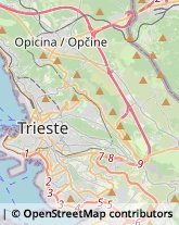 Imprese di Pulizia,34129Trieste