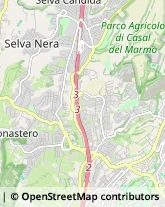 Via di Selva Candida, 358,00166Roma