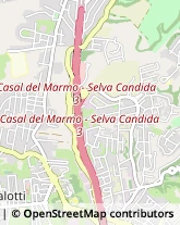 Via di Casal del Marmo, 670,00166Roma