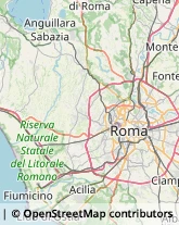 Via del Mare, 113,00071Roma