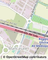 Via Felice Cavallotti, 16,42122Reggio nell'Emilia