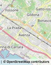 Via Carlo Cassola, 22,54033Carrara