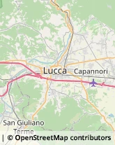 Via Romana, 72,55012Capannori