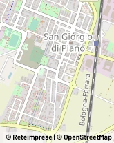 Via Antonio Gramsci, 3/5,40016San Giorgio di Piano