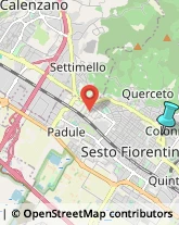 Feste - Organizzazione e Servizi,50019Firenze