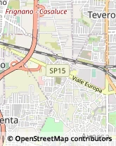 Viale Europa, 140,81038Aversa