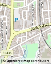 Viale Macallè, 14,51100Pistoia