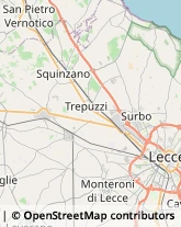 Agenzie di Animazione e Spettacolo,73100Lecce