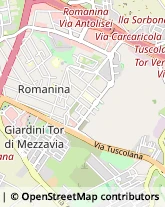 Via Francesco di Benedetto, 265,00173Roma