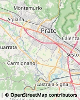 Istituti di Bellezza,59100Prato