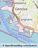 Via Miramare, 3,16128Genova