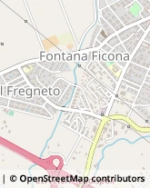 Via Dante Travagliati, 155,00052Cerveteri