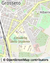 Viale delle Brigate Partigiane, 13,58100Grosseto