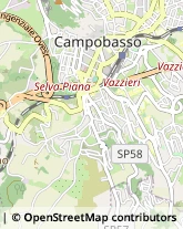 Via Conte Rosso, 19,86100Campobasso