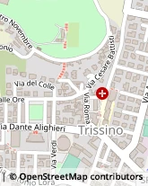 Via Roma, 50,36070Trissino