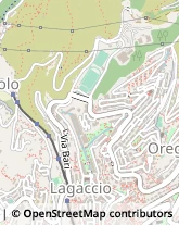 Via Vesuvio, 60,16134Genova