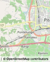 Agenzie di Animazione e Spettacolo,51100Pistoia